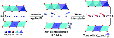 Graphical abstract: Charge storage mechanism and degradation of P2-type sodium transition metal oxides in aqueous electrolytes