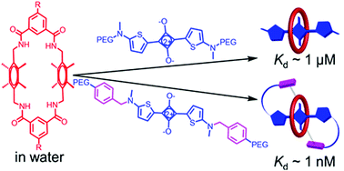 Graphical abstract: High affinity threading of a new tetralactam macrocycle in water by fluorescent deep-red and near-infrared squaraine dyes