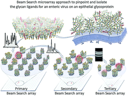 Graphical abstract: Nanolithography of biointerfaces