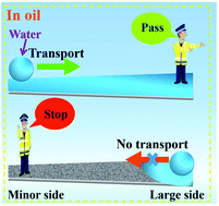 Graphical abstract: Under-oil self-driven and directional transport of water on a femtosecond laser-processed superhydrophilic geometry-gradient structure