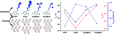 Graphical abstract: The effect of side-chain branch position on the thermal properties of poly(3-alkylthiophenes)