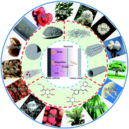 Graphical abstract: A review of biomass materials for advanced lithium–sulfur batteries