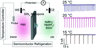 Graphical abstract: Measuring temperature effects on nanobubble nucleation via a solid-state nanopore