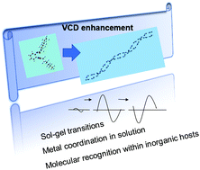 Graphical abstract: A new horizon for vibrational circular dichroism spectroscopy: a challenge for supramolecular chirality