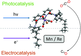 Graphical abstract: Sterically hindered Re- and Mn-CO2 reduction catalysts for solar energy conversion