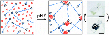 Graphical abstract: Shape retaining self-healing metal-coordinated hydrogels