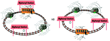 Graphical abstract: Dynamics of mechanically bonded macrocycles in radial hetero[4]catenane isomers