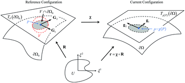Graphical abstract: Modeling of surface mechanical behaviors of soft elastic solids: theory and examples