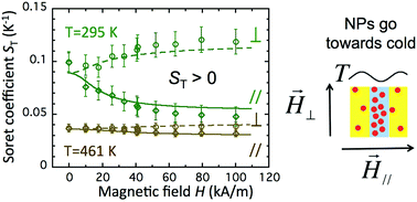 Graphical abstract: Thermodiffusion anisotropy under a magnetic field in ionic liquid-based ferrofluids