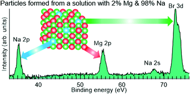 Graphical abstract: Solvent and cosolute dependence of Mg surface enrichment in submicron aerosol particles