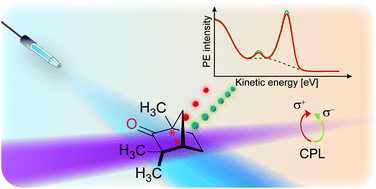 Graphical abstract: Photoelectron circular dichroism in angle-resolved photoemission from liquid fenchone