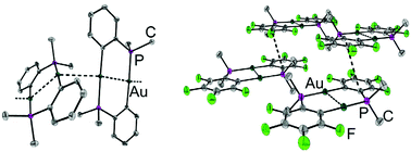 Graphical abstract: Synthesis, structural and photophysical properties of dimethylphosphino(perfluoro-)phenylene-based gold(i) dimers