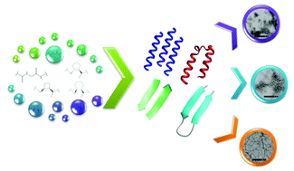 Graphical abstract: Peptide foldamer-based self-assembled nanostructures containing cyclic beta-amino acids