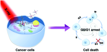 Graphical abstract: Designing lanthanide coordination nanoframeworks as X-ray responsive radiosensitizers for efficient cancer therapy