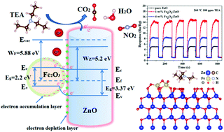 Graphical abstract: The modification effect of Fe2O3 nanoparticles on ZnO nanorods improves the adsorption and detection capabilities of TEA