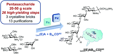 Graphical abstract: Multigram synthesis of an orthogonally-protected pentasaccharide for use as a glycan precursor in a Shigella flexneri 3a conjugate vaccine: application to a ready-for-conjugation decasaccharide