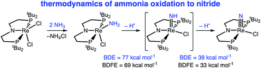 Graphical abstract: Facile conversion of ammonia to a nitride in a rhenium system that cleaves dinitrogen