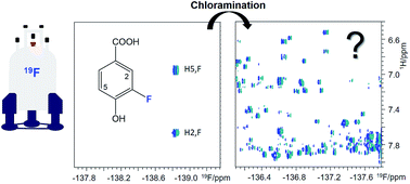 Graphical abstract: New 19F NMR methodology reveals structures of molecules in complex mixtures of fluorinated compounds