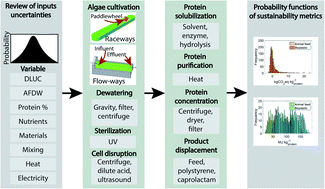 Graphical abstract: Bioproducts from high-protein algal biomass: an economic and environmental sustainability review and risk analysis