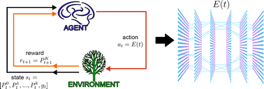 Graphical abstract: Harnessing deep reinforcement learning to construct time-dependent optimal fields for quantum control dynamics