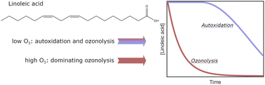 Graphical abstract: Oxidation pathways of linoleic acid revisited with electrodynamic balance–mass spectrometry