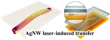 Graphical abstract: Molecular mechanics of Ag nanowire transfer processes subjected to contact loading by a PDMS substrate