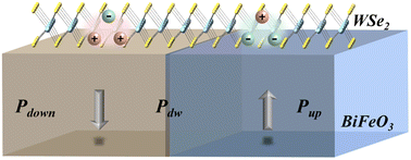 Graphical abstract: Single charge control of localized excitons in heterostructures with ferroelectric thin films and two-dimensional transition metal dichalcogenides