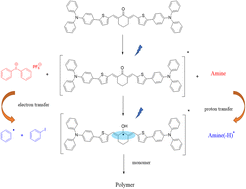 Graphical abstract: New long-wavelength D–π-A–π-D chalcone photoinitiator for visible light polymerization with photobleaching and biocompatibility properties