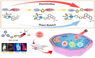 Graphical abstract: Simultaneous one-step regulation of planarization and donor rotation to enhance multi-modal imaging guided therapy