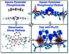 Graphical abstract: Geometrically constrained square pyramidal phosphoranide