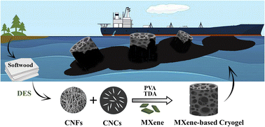 Graphical abstract: Ultrahigh fluid sorption capacity of superhydrophobic and tough cryogels of cross-linked cellulose nanofibers, cellulose nanocrystals, and Ti3C2Tx MXene nanosheets