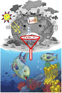 Graphical abstract: Non-stoichiometric CuxIn1−xS quantum dots for robust photodegradation of gemifloxacin: influencing parameters, intermediates, and insights into the mechanism