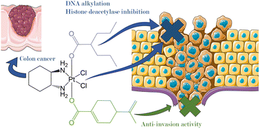 Graphical abstract: Platinum(iv) combo prodrugs containing cyclohexane-1R,2R-diamine, valproic acid, and perillic acid as a multiaction chemotherapeutic platform for colon cancer