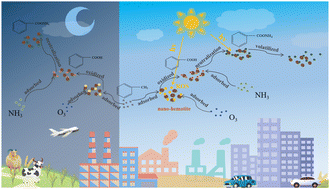 Graphical abstract: The heterogeneous reactions of toluene/O3/NH3 on hematite nanoparticles: the impact of light illumination on organic ammonium salt formation