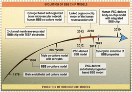 Graphical abstract: Lab-on-a-chip models of the blood–brain barrier: evolution, problems, perspectives