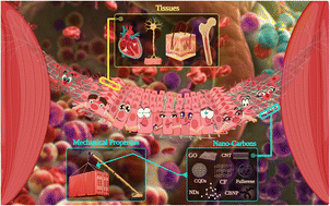 Graphical abstract: Effects of mechanical properties of carbon-based nanocomposites on scaffolds for tissue engineering applications: a comprehensive review