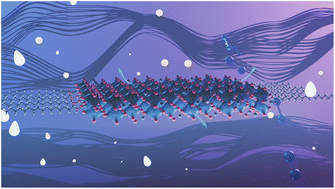 Graphical abstract: Surface and optical properties of phase-pure silver iodobismuthate nanocrystals