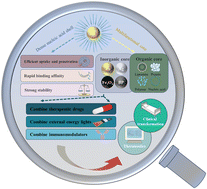 Graphical abstract: Spherical nucleic acids: emerging amplifiers for therapeutic nanoplatforms