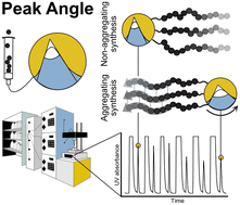 Graphical abstract: A robust data analytical method to investigate sequence dependence in flow-based peptide synthesis