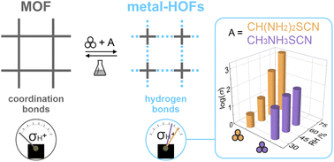 Graphical abstract: From non-conductive MOF to proton-conducting metal-HOFs: a new class of reversible transformations induced by solvent-free mechanochemistry