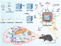 Graphical abstract: Mitochondria-targeting nanozyme alleviating temporomandibular joint pain by inhibiting the TNFα/NF-κB/NEAT1 pathway