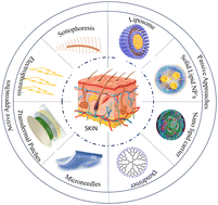 Graphical abstract: Revolutionizing transdermal drug delivery: unveiling the potential of cubosomes and ethosomes