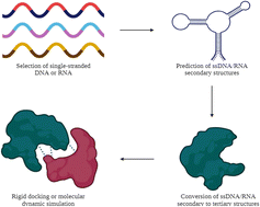 Graphical abstract: In silico selection of aptamers against SARS-CoV-2