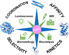 Graphical abstract: Lanthanide(iii)-binding peptides and proteins: coordination properties and applications