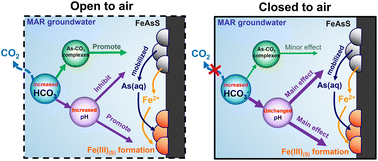 Graphical abstract: Bicarbonate concentrations affect arsenic release from arsenopyrite and nanoscale iron(iii) (hydr)oxide formation: importance of unconfined aquifer carbonate chemistry