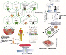 Graphical abstract: Electrospun nanofibers based on plant extract bioactive materials as functional additives: possible sources and prospective applications