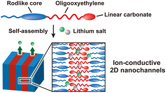 Graphical abstract: Nanostructured liquid-crystalline ion conductors based on linear carbonate moieties: effects of oligooxyethylene and alkylene spacers on self-assembled properties and ionic conductivities