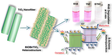 Graphical abstract: Unveiling efficient S-scheme charge carrier transfer in hierarchical BiOBr/TiO2 heterojunction photocatalysts