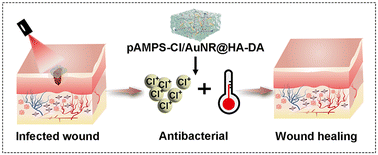 Graphical abstract: A gold nanoparticle-based photothermal hydrogel assisted by an N-halamine polymer for bacteria-infected skin wound healing