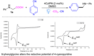 Graphical abstract: Organophotocatalytic pyridination of N-arylglycines with 4-cyanopyridines by decarboxylative and decyanative radical–radical coupling